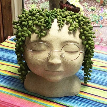 HANDIC 3pack Artificial String of Pearls Faux Succulents