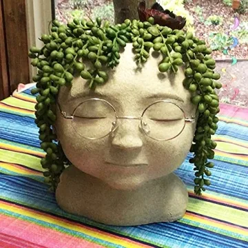 HANDIC 3pack Artificial String of Pearls Faux Succulents