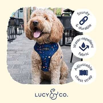 Stylish Reversible Dog Harness for Medium Dogs by Lucy & Co.