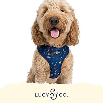 Stylish Reversible Dog Harness for Medium Dogs by Lucy & Co.