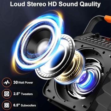 HWWR Karaoke Machine with Wireless Microphones