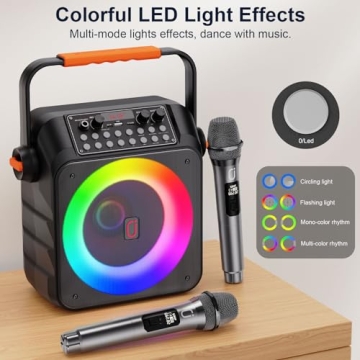 HWWR Karaoke Machine with Wireless Microphones