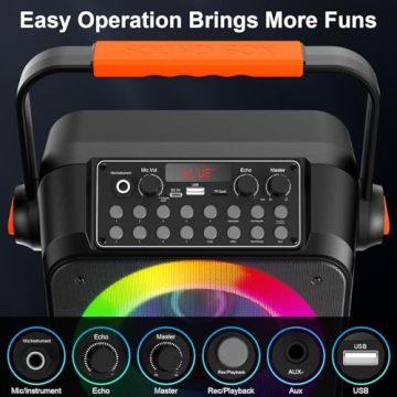 HWWR Karaoke Machine with Wireless Microphones