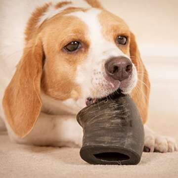 Wild Eats Dog Chews - Healthy, All Natural Chews for Dogs