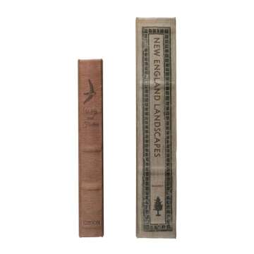 Creative Co-Op MDF & Canvas Book Storage Boxes, Set of 2 New England Landscapes