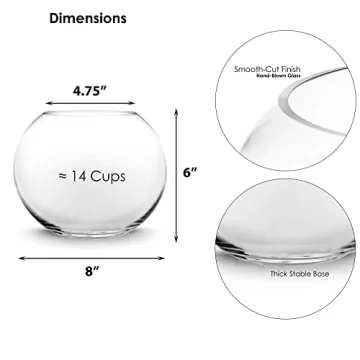 Hand-Blown Glass Bubble Bowl for Aquariums & Decor