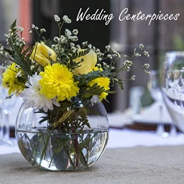 Hand-Blown Glass Bubble Bowl for Aquariums & Decor