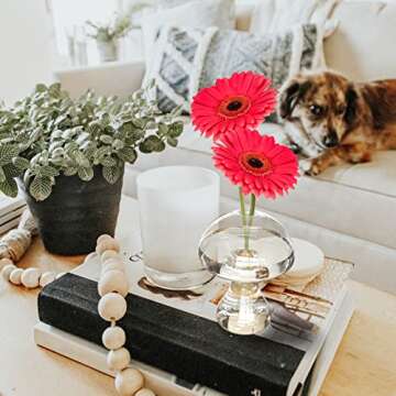 Enchanting NOLITOY Mushroom Glass Terrarium Vase