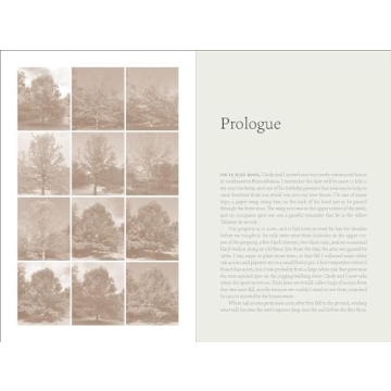 Experience the Rich Ecology of Oak Trees Today