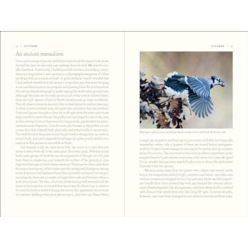 Experience the Rich Ecology of Oak Trees Today