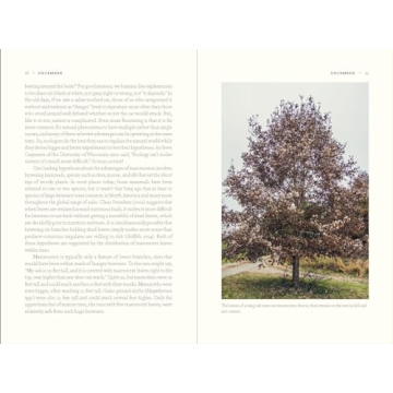 Experience the Rich Ecology of Oak Trees Today