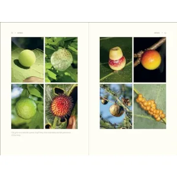 Experience the Rich Ecology of Oak Trees Today