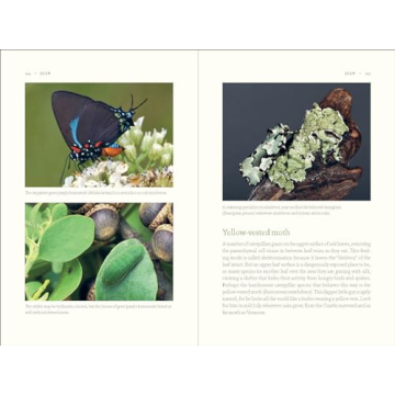 Experience the Rich Ecology of Oak Trees Today