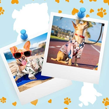 Hawaiian Pet T-Shirts for Dogs 4-Piece Summer Set