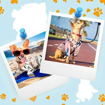 Hawaiian Pet T-Shirts for Dogs 4-Piece Summer Set