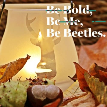 Beetles Gel Nail Polish Set - 6 Stunning Fall Shades