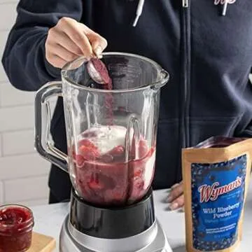 Wyman's Wild Blueberry Powder - 100% Wild Blueberries, No Sugar Added, Antioxidant Activity, Resealable Pouch - 8oz