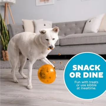 Interactive Treat Dispensing Dog Toy for Engaged Play