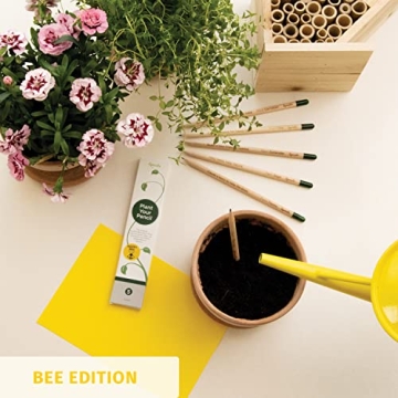 Eco-Friendly Plantable Pencils Happy Bee Edition