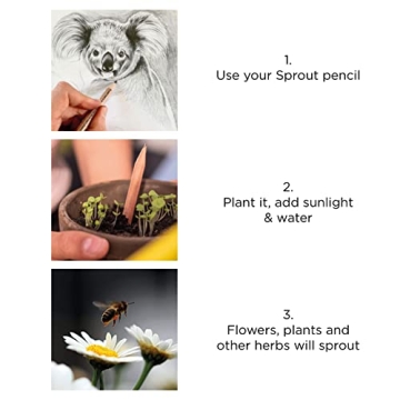 Eco-Friendly Plantable Pencils Happy Bee Edition