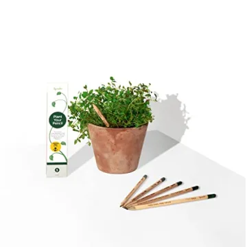 Eco-Friendly Plantable Pencils Happy Bee Edition