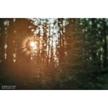 Lensbaby - Trio 28 - for Sony E - Designed Exclusively for mirrorless Cameras - Lightweight and Compact - Ultimate Tool for creatives Photographers