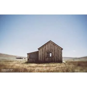 Lensbaby - Trio 28 - for Sony E - Designed Exclusively for mirrorless Cameras - Lightweight and Compact - Ultimate Tool for creatives Photographers