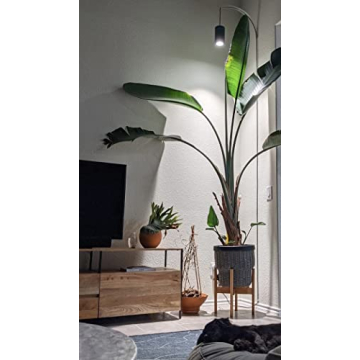 Aspect Grow Light – Elegant LED Solution for Plants