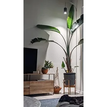 Aspect Grow Light – Elegant LED Solution for Plants