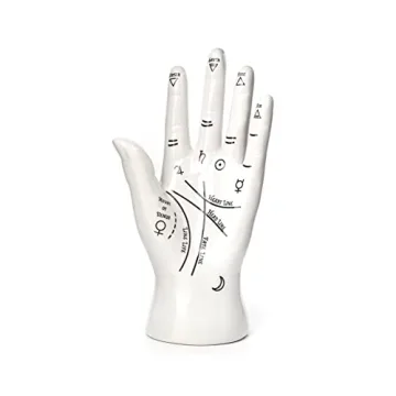 Kikkerland Palm Reader Organizer for Rings and Bracelets