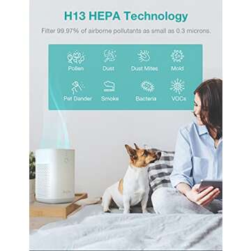RedyPure Air Purifiers for Home Bedroom with H13 HEPA Filter, Desktop Air Purifier for Office, Quiet Mini Air Purifier Cleaner for Small Room, Removes Allergies,Pollen,Dust,Odor,Pet Hair,Smoke - JR6