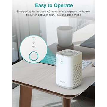RedyPure Air Purifiers for Home Bedroom with H13 HEPA Filter, Desktop Air Purifier for Office, Quiet Mini Air Purifier Cleaner for Small Room, Removes Allergies,Pollen,Dust,Odor,Pet Hair,Smoke - JR6