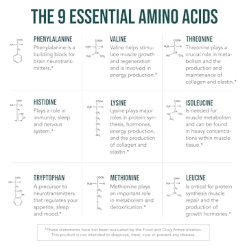 Organic Plant Aminos Essential Amino Acids - Vegan, Raw - 360 Tablets