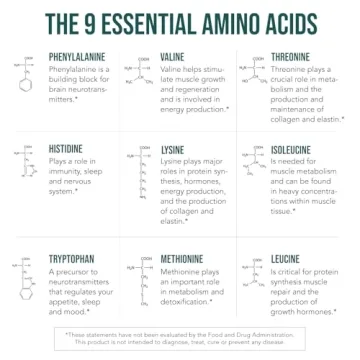 Organic Plant Aminos Essential Amino Acids - Vegan, Raw - 360 Tablets