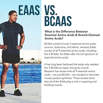 Organic Plant Aminos Essential Amino Acids - Vegan, Raw - 360 Tablets