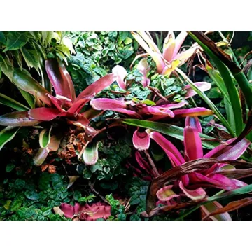 Jungle Dawn Arcadia LED Bar for Reptiles and Plants