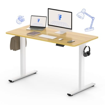 Electric Standing Desk 48 x 24 Inch Adjustable Height