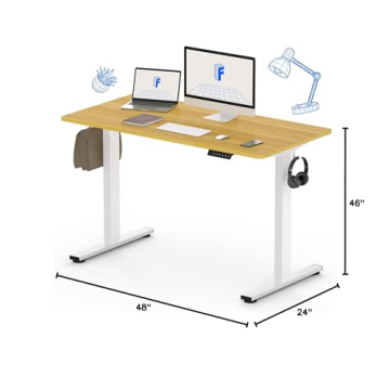 Electric Standing Desk 48 x 24 Inch Adjustable Height