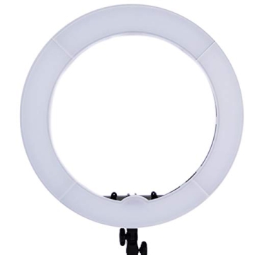 Prismatic 18" LED Halo Bi-Color Ring Light for Perfect Lighting