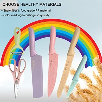 ZHUJIABAO Colorful Kitchen Knives Set of 6 PCS Professional Carbon Stainless Steel Chefs Knives Set With Non-Stick Coating&Ergonomic Handle Sharp Kitchen Knife Boxed Set for Slicing,Paring and Cooking