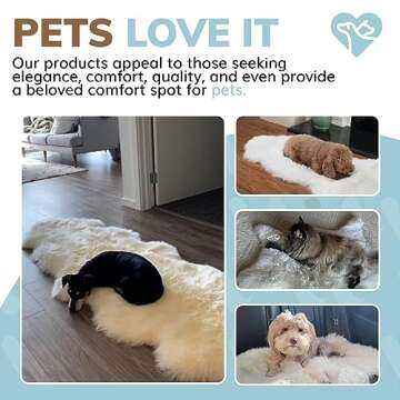 WaySoft Sheepskin Area Rug - Luxurious Comfort for Home