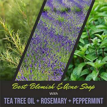 First Botany Natural Body Wash for All Skin Types 16 fl oz