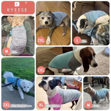 KYEESE 2 Pack Dog Shirts Quick Dry for Medium Dogs Breathable Lightweight Stretchy Protects Against Foxtails Dog T-Shirt with Reflective Label Raglan Sleeve Dog Clothes UV Protection, Purple+Grey, 2XL