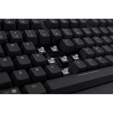 BenQ Gaming Gear CELERITAS II Black Flaretech red Switch 55g N-Key Rollover Single LED Back Light RTR Technology