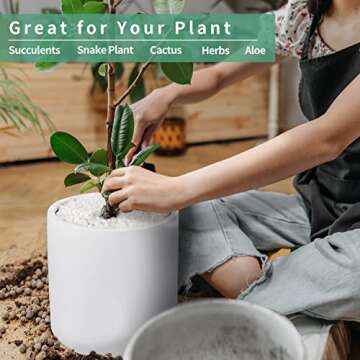 Mozing Ceramic Plant Pots Indoor - Elegant Planter Pot for Stylish Home Decor