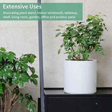 Mozing Ceramic Plant Pots for Indoor & Outdoor Use