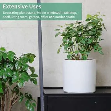 Mozing Ceramic Plant Pots for Indoor & Outdoor Use