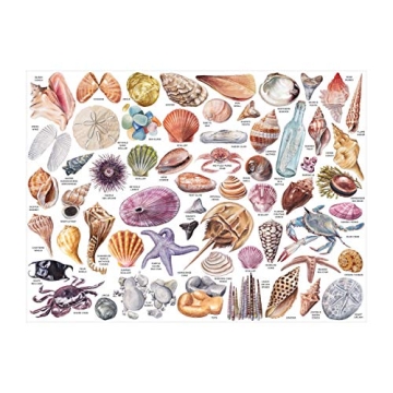 Galison Beachcomber’s Companion 1000-Piece Puzzle