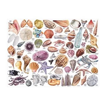 Galison Beachcomber’s Companion 1000-Piece Puzzle