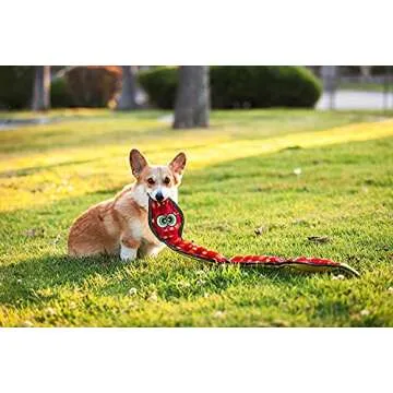 Durable Outward Hound Tough Seamz Snake Dog Toy